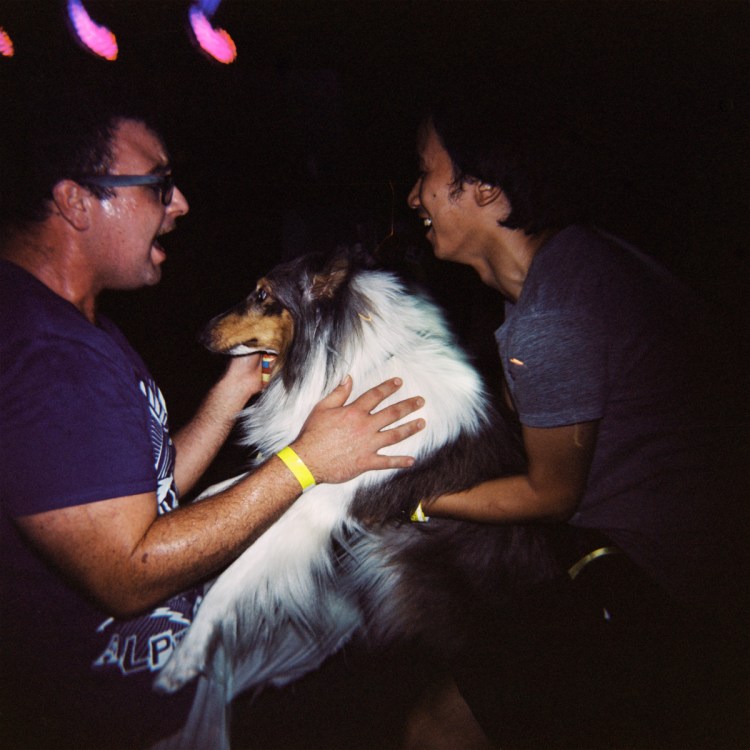 D-rad, a dog and a dancefloor. Hangzhou 2012.