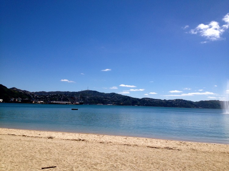 Oriental Bay, Wellington. Appreciate.