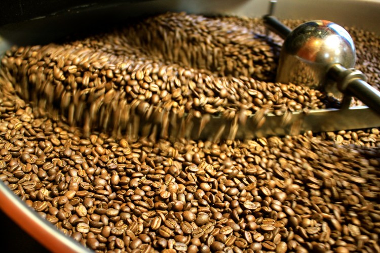 Freshly roasted beans getting a cool off at the roastery