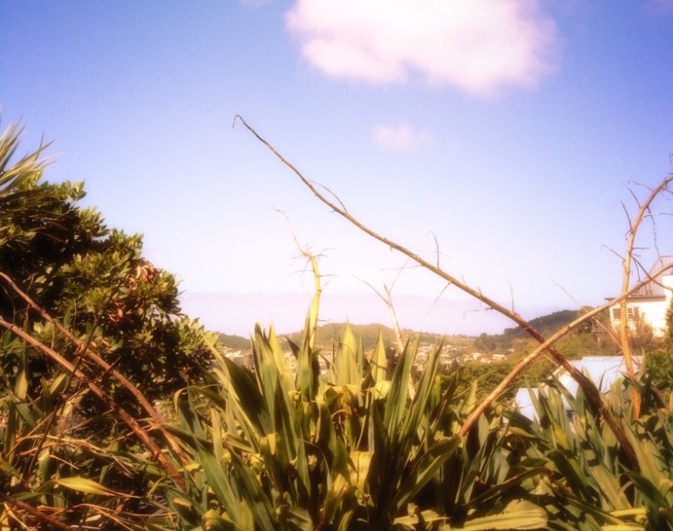 Wellington, Te Whanganui-A-Tara, 惠灵顿