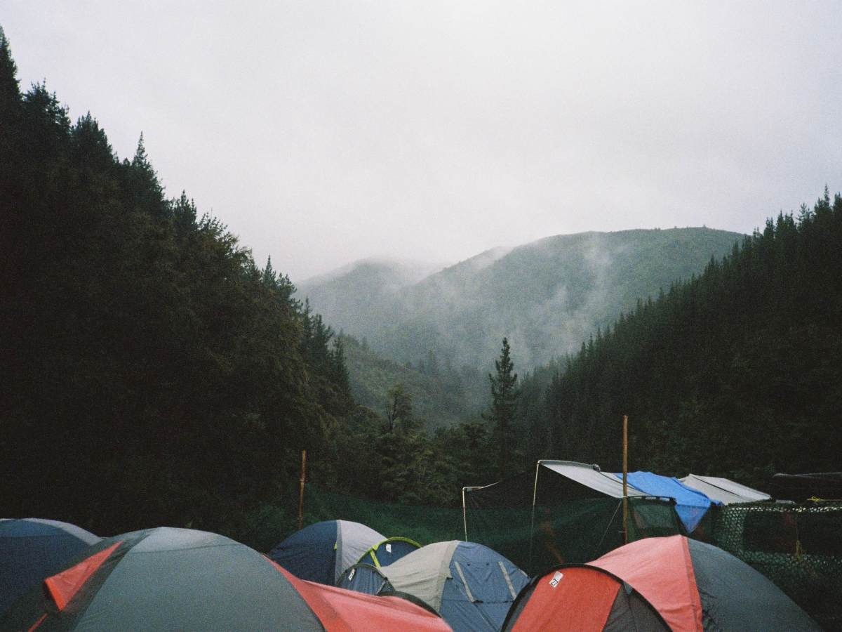 Ode to Twisted Frequency: Aotearoa’s Home of Underground Music &&nbsp;Culture